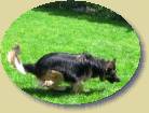 Lady- und ich bin doch schneller * 448 x 336 * (37KB)